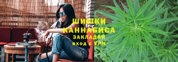 дмт Козловка