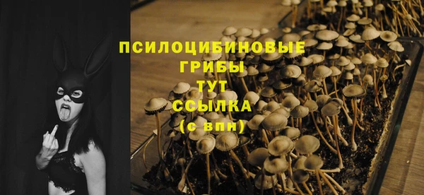 спайс Козельск