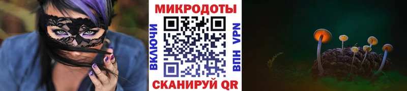 Псилоцибиновые грибы Psilocybine cubensis  Котово 